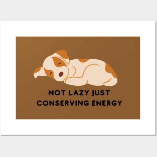 Not Lazy Just Conserving Energy Posters and Art